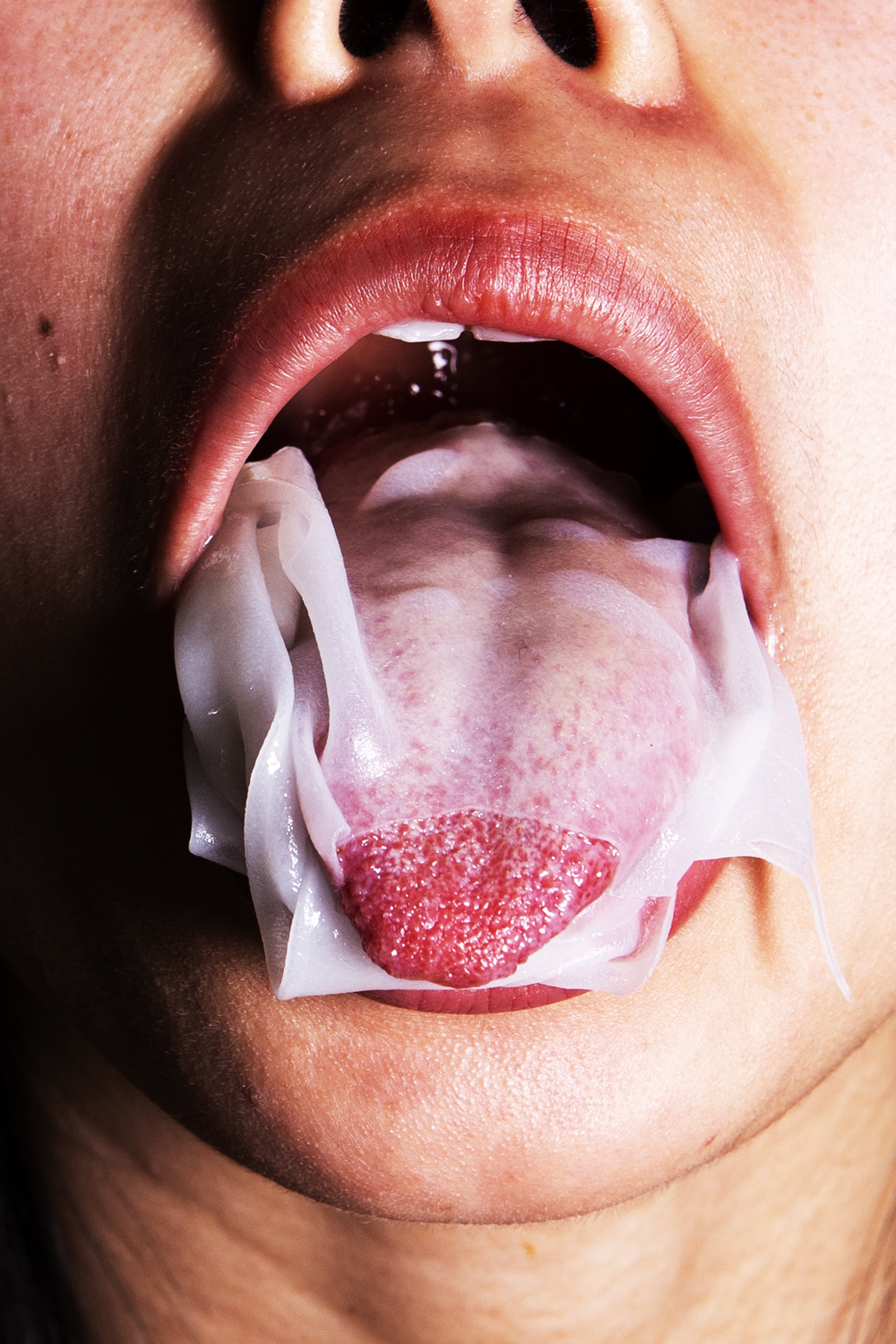 Asia Bistro_Spring roll_MG_9313