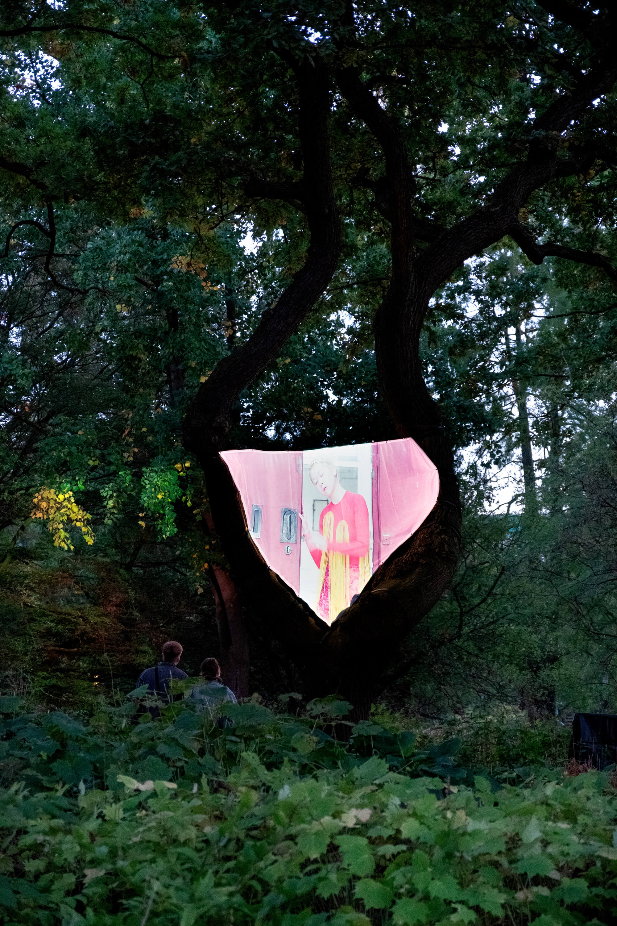 Installation view of Video No. 2 of "Scent from Heaven", shown at. Planten un Blomen Hamburg, Germany. 2023. Photo: Fabian Schwarz.