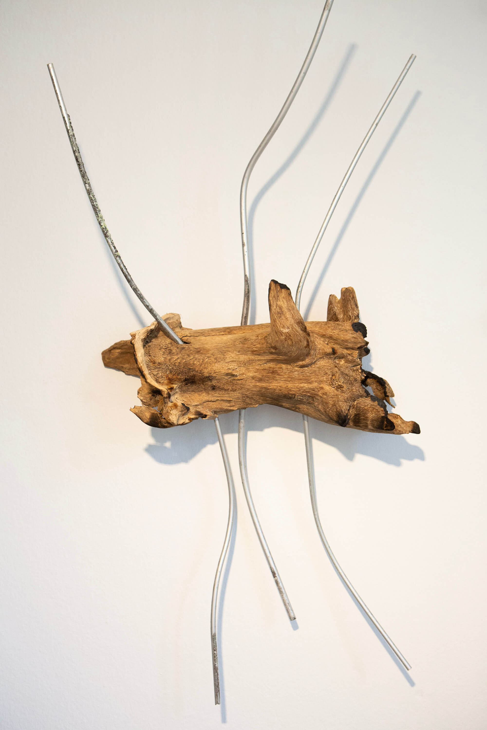 The Object - Agarwood and corroded aluminium tube. Installation view of the solo exhibition "Garden of Entanglement" by Hiền Hoàng, hold at the Foam Museum Amsterdam, from 5 June to 10 September 2025.