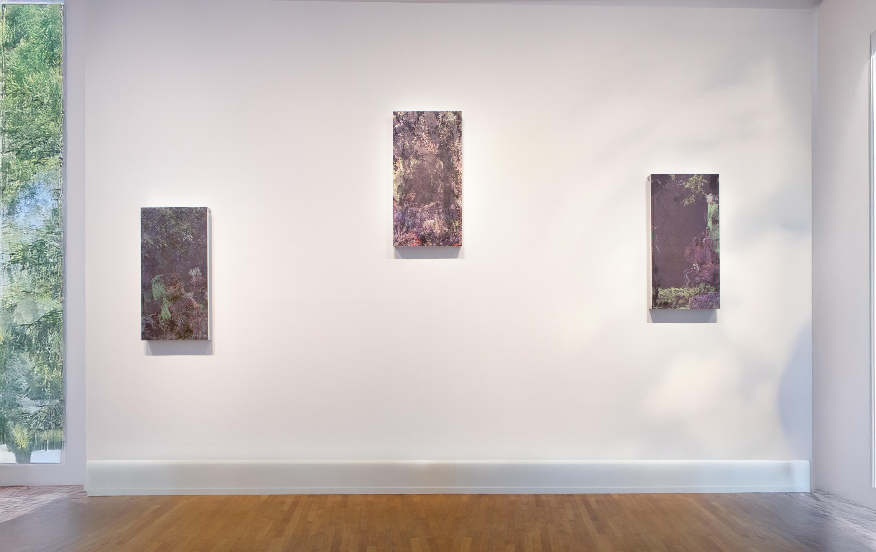 Installation view of the exhibition Garden of Entanglement, Foam Fotografie Museum Amsterdam, 2025