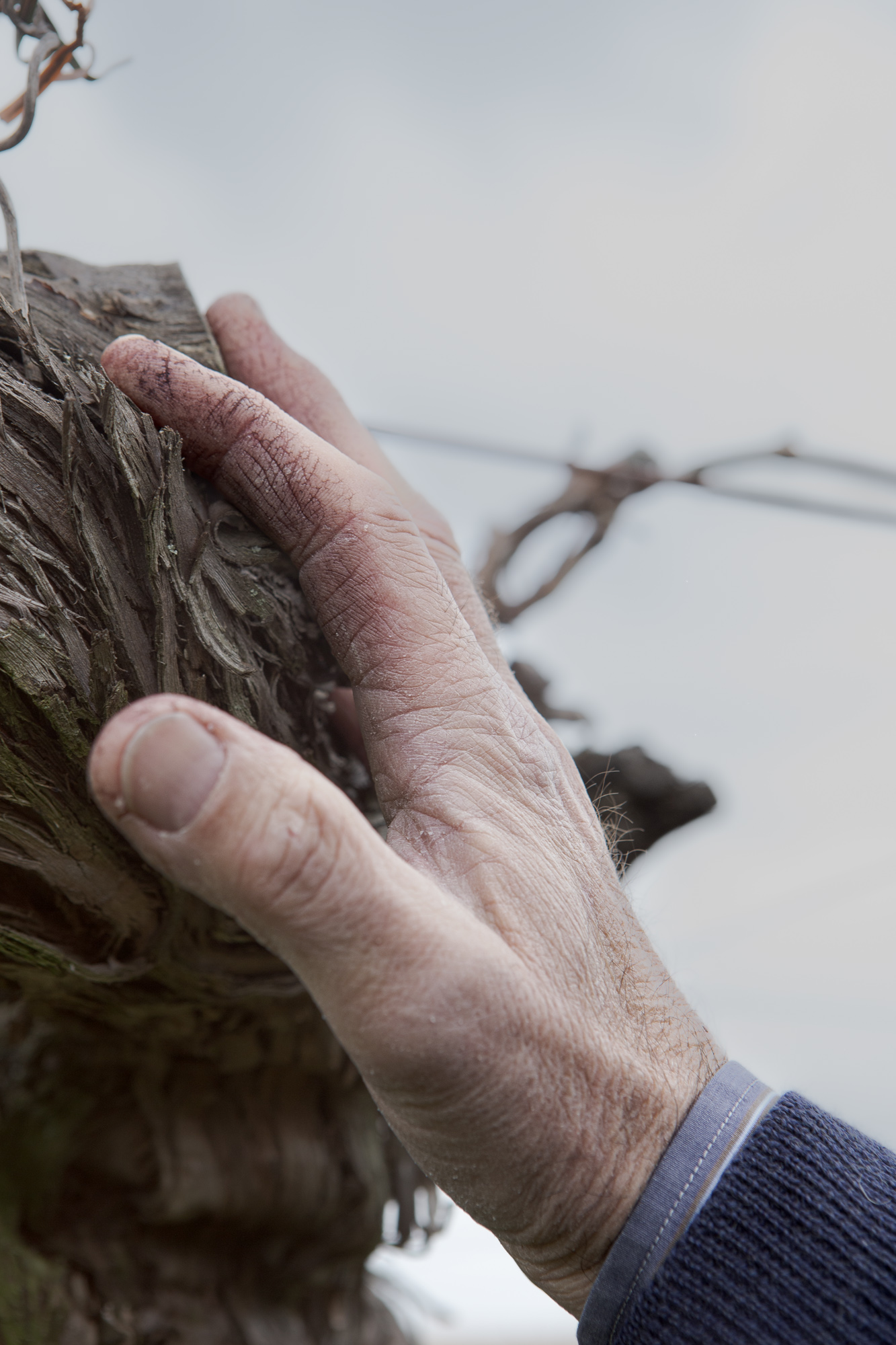 Portrait of Fausto Albanesi, for the project "Field of Memory", by Hien Hoang, as for the residency AEQUUSOL at Pollinaria, 2026.