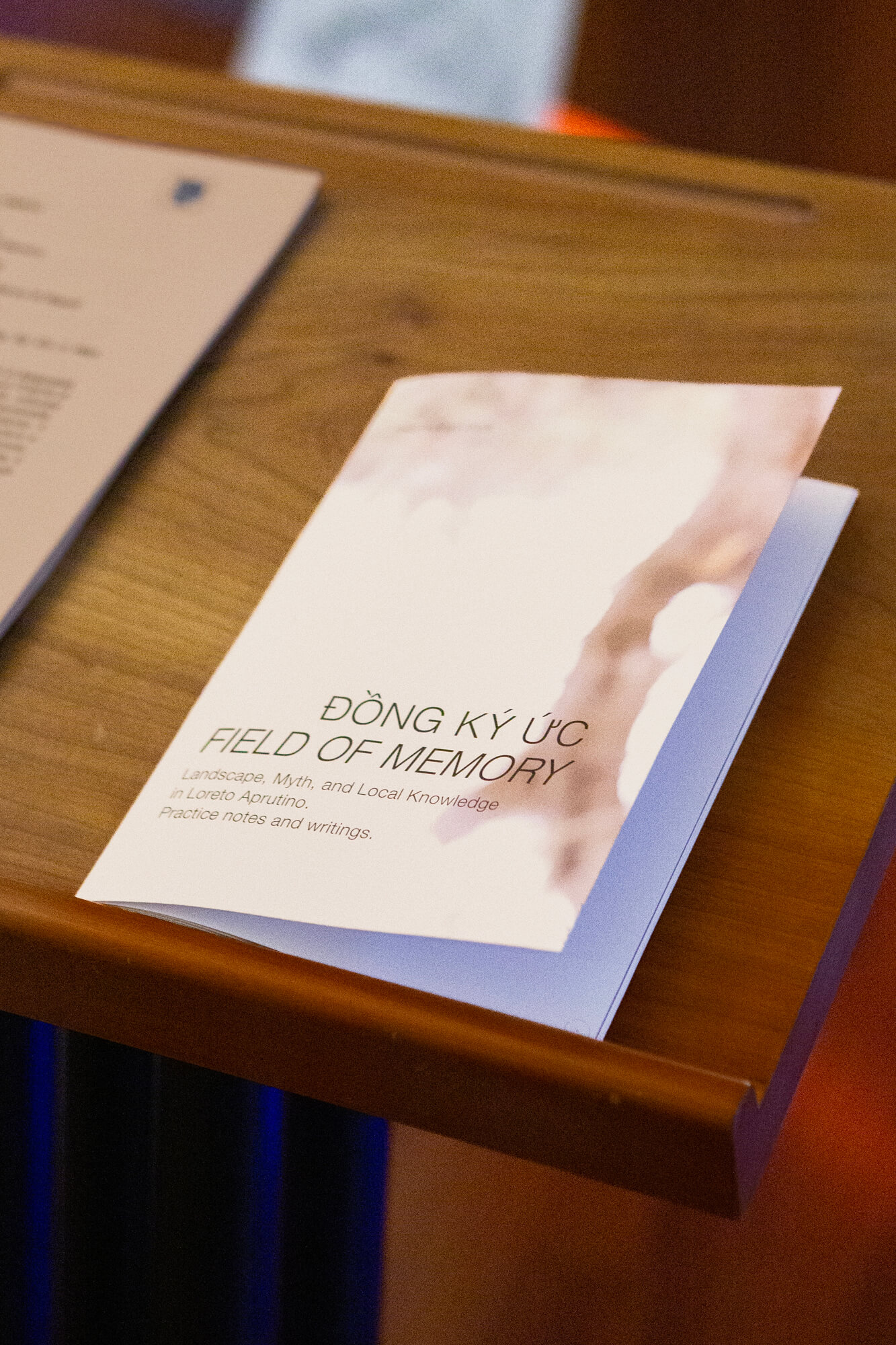 Field of Memory. Installation View. 2026. Featuring a short film ò 12 minutes, color, 4K, and 2 long soil drawings. Palazzo De' Mayo, Chieti, Italy. @ Hiền Hoàng.