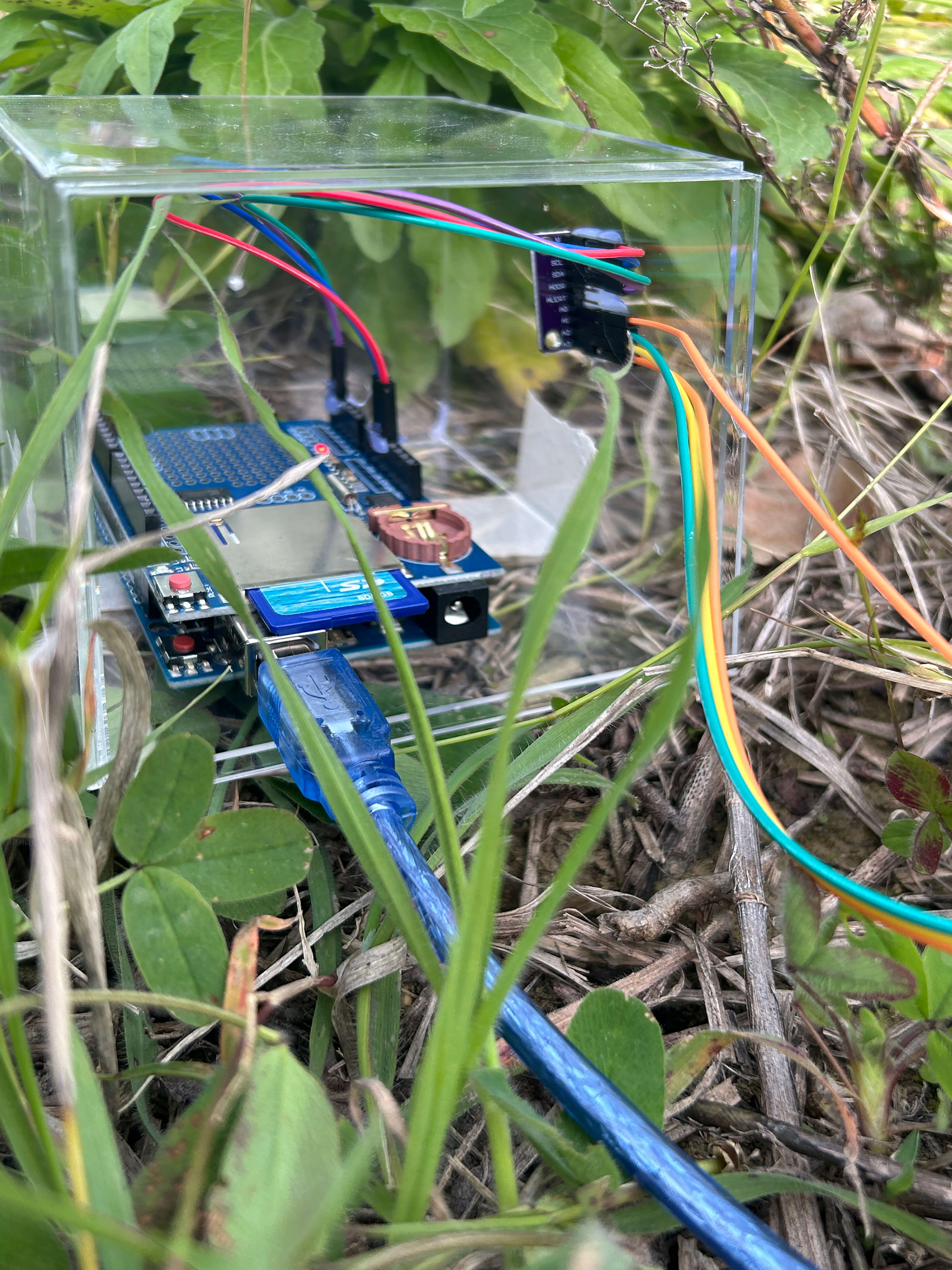 Field of Memory. Impressions from measuring electrical signals in soil microorganisms and plants, exploring how organisms and matter connect through air and through signals.