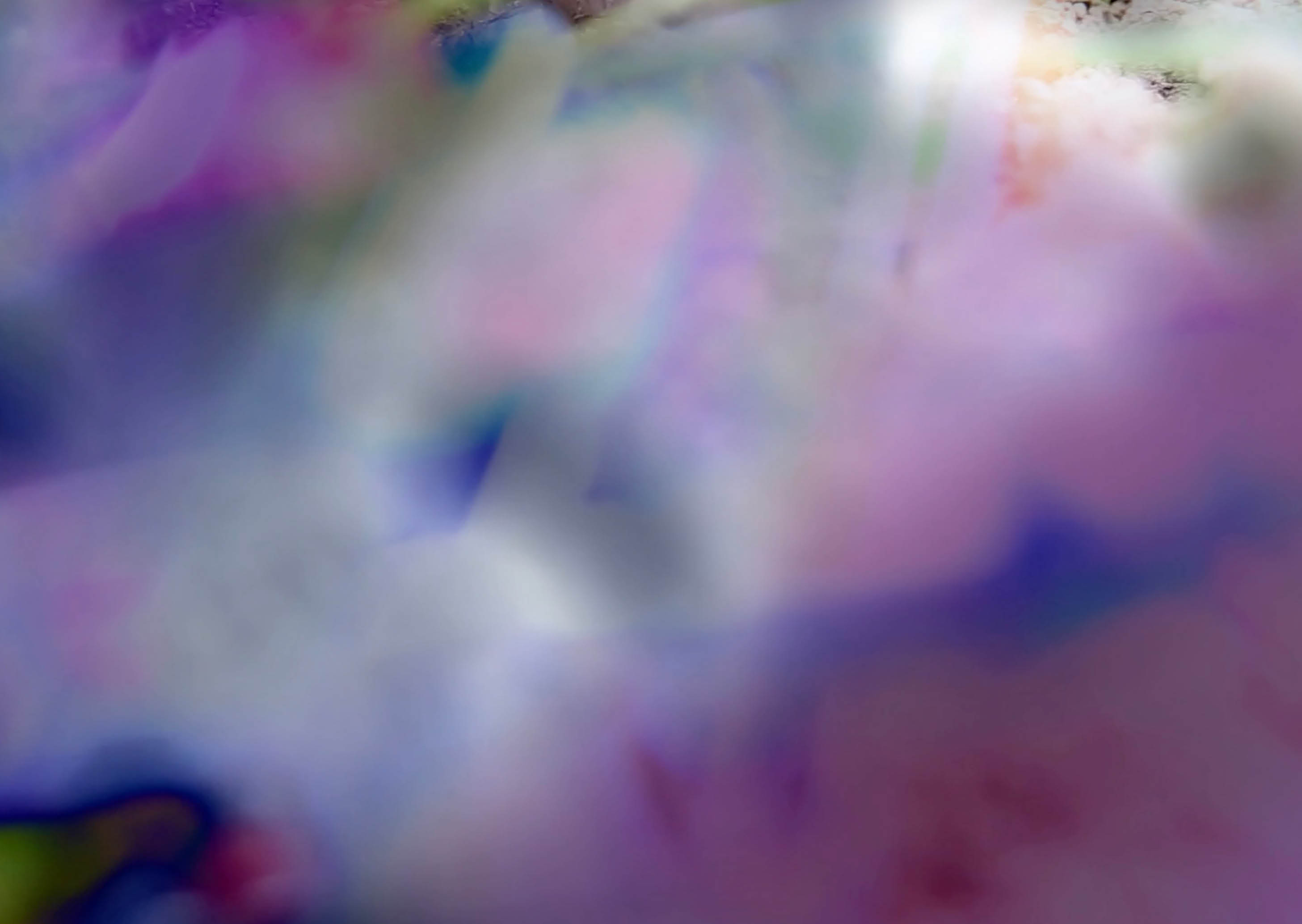 Field of Memory. Booklet. Featuring poems, notes, interviews, and photos from the research. Hien Hoang. 2026.